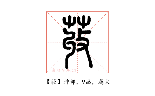 荍