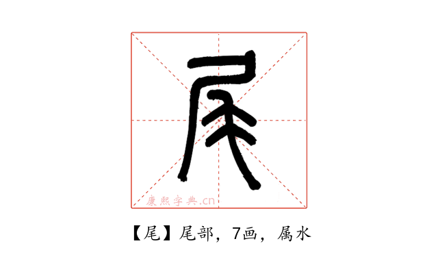 尾