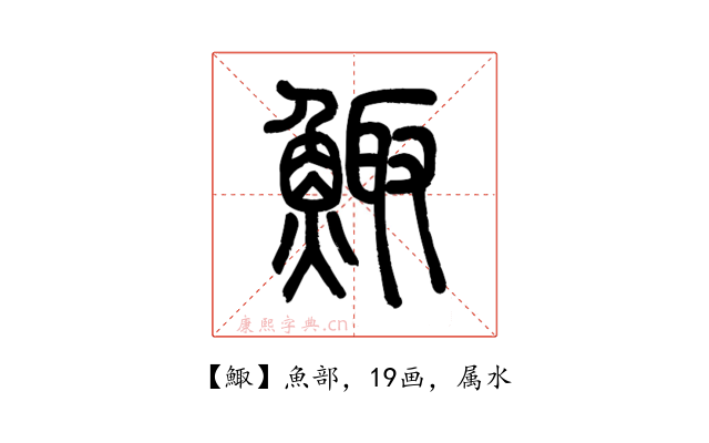 鯫