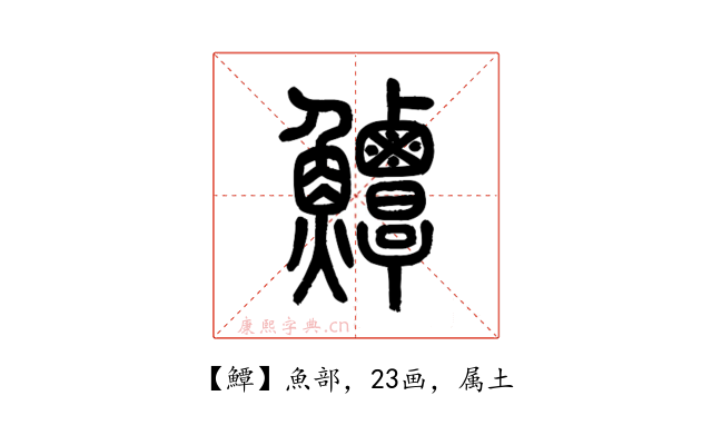鱏