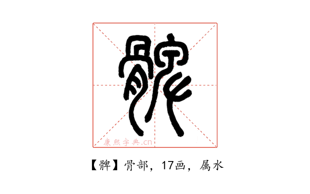 髀