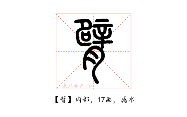 臂