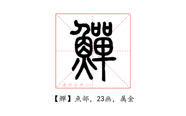 鱓
