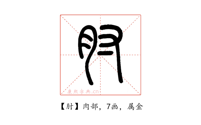 肘