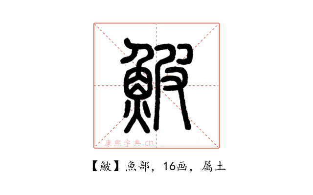 鮍