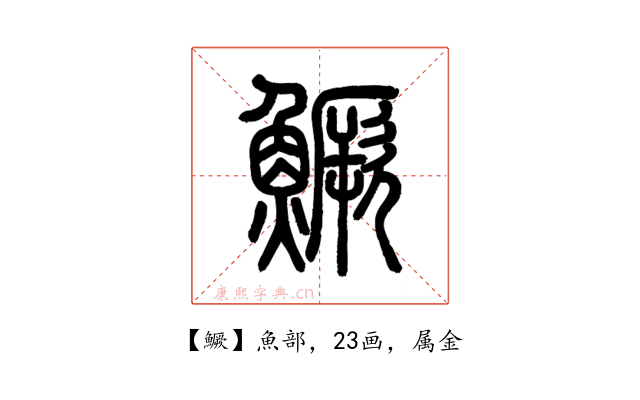 鱖