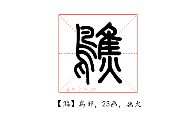 鷦