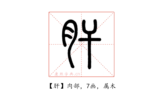 肝