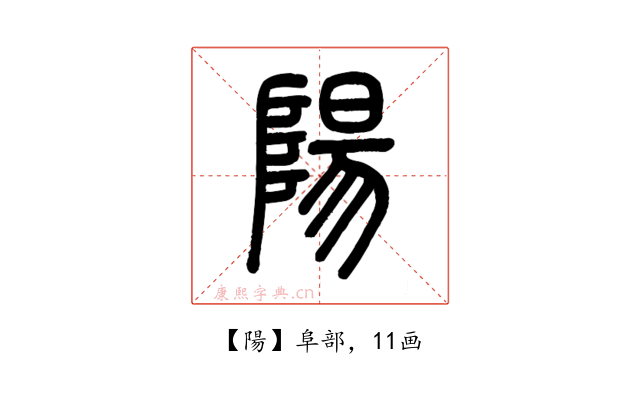陽
