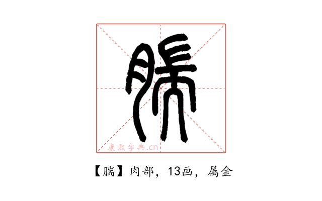 腨