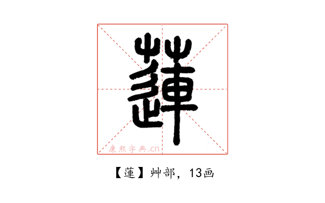 蓮