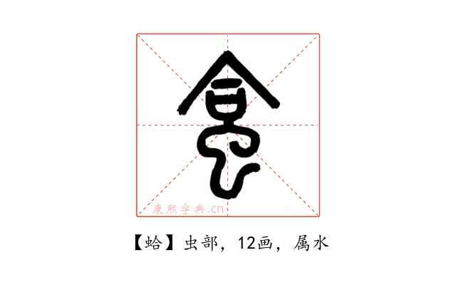 蛤