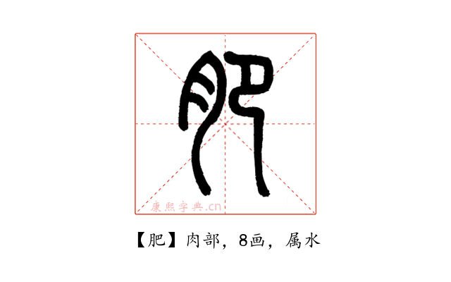 肥