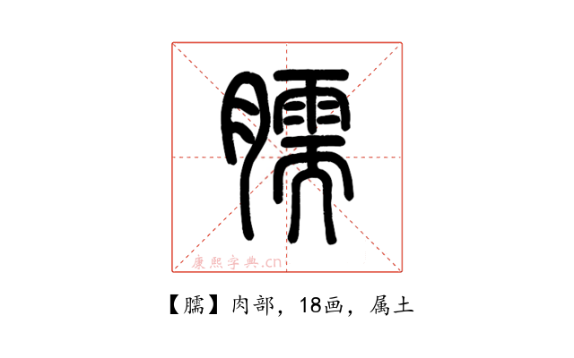 臑