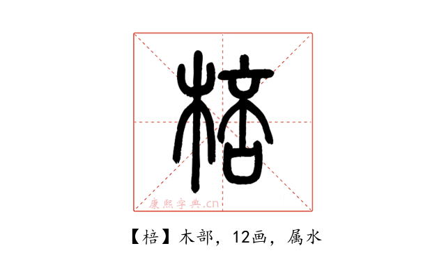 棓