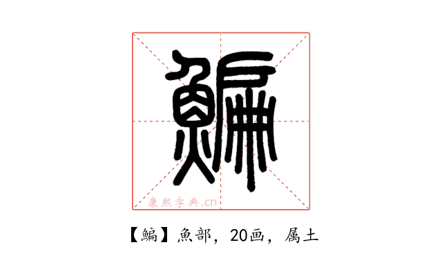 鯿
