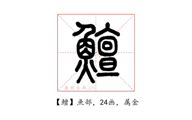 鱣