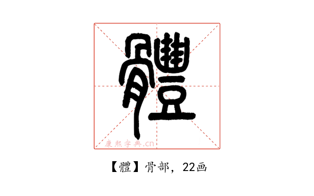 體