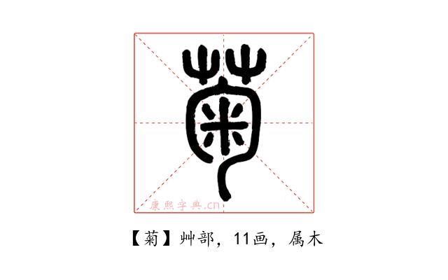 菊