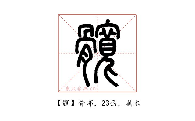 髖
