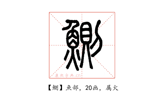 鰂
