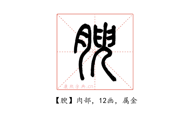 腴