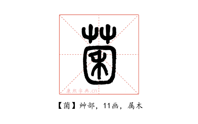菌