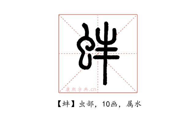 蚌