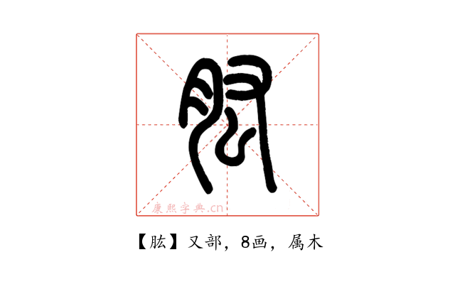 肱