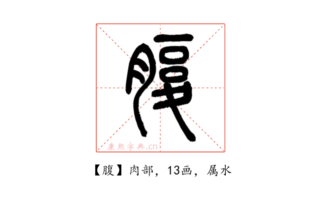 腹