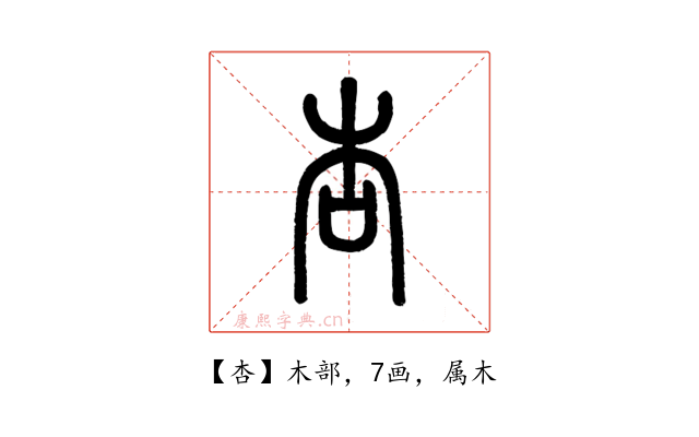 杏