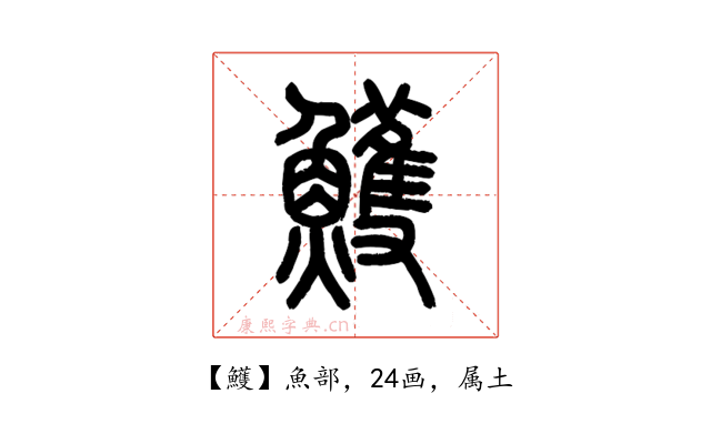 鱯