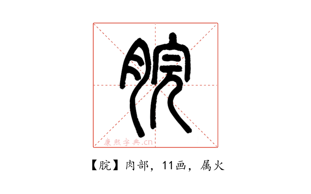 脘