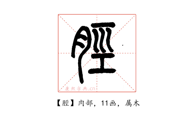 脛