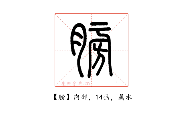 膀