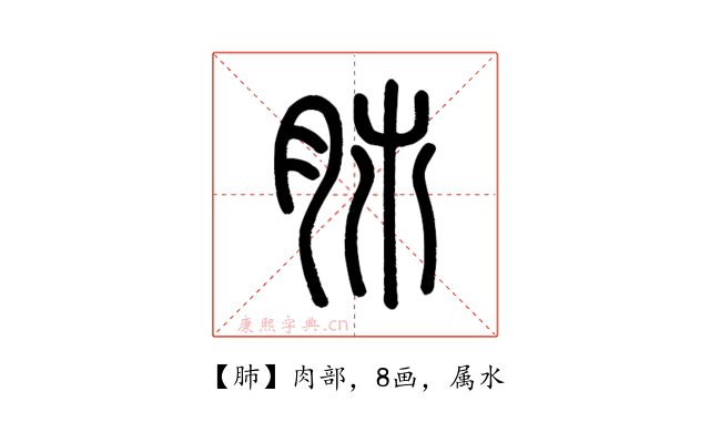 肺