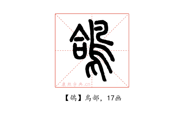 鴿