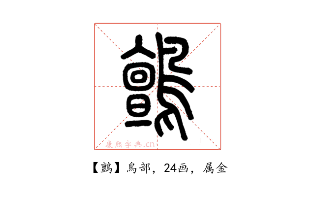 鸇