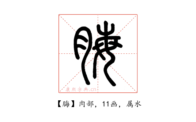 脢