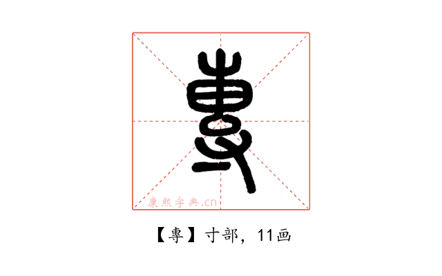 專