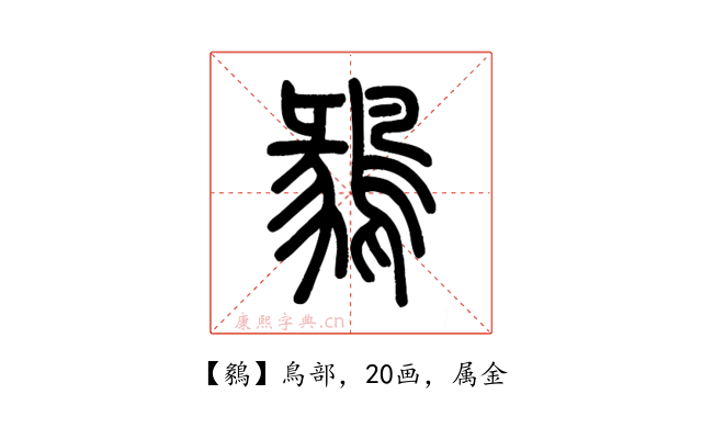 鶨
