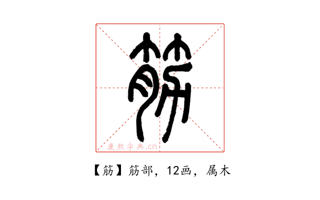 筋