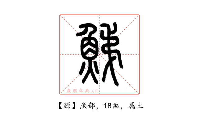 鮷