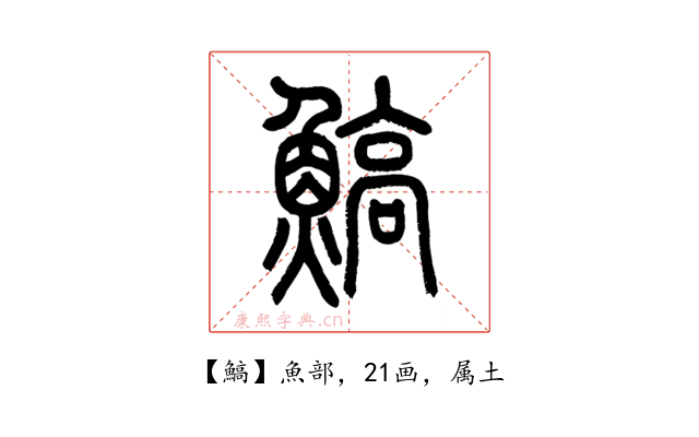 鰝