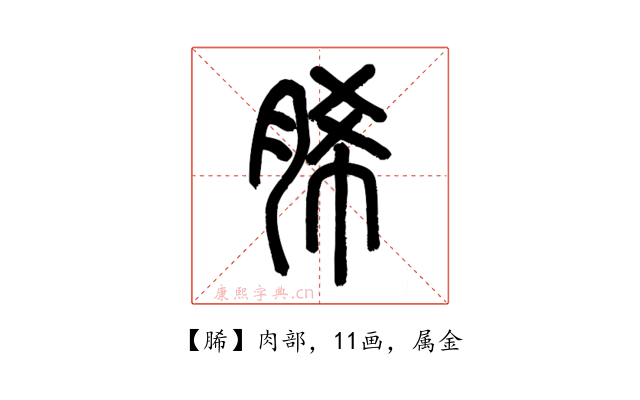 脪