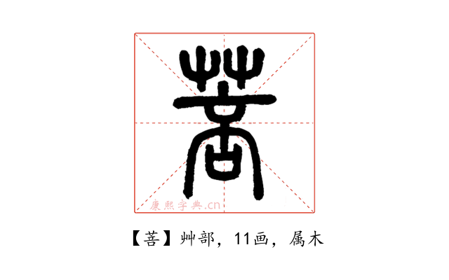 菩