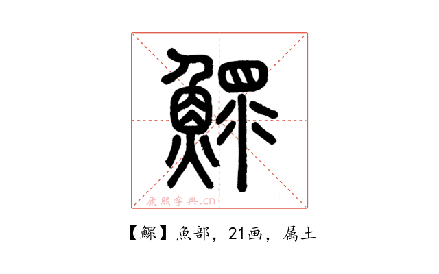 鰥