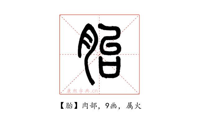 胎