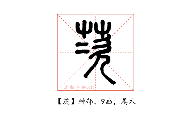 茨