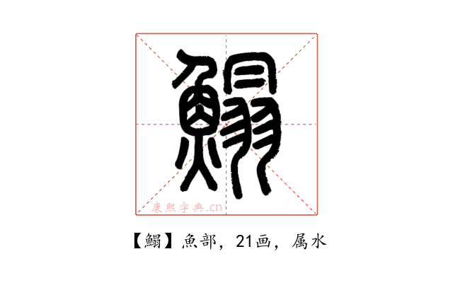 鰨